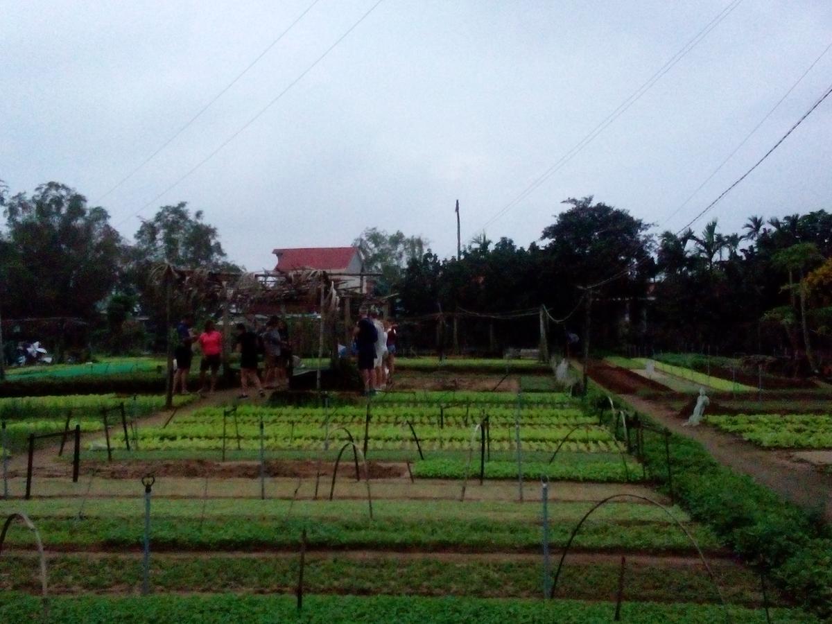 An Bang Beach Town Homestay Hội An Kültér fotó