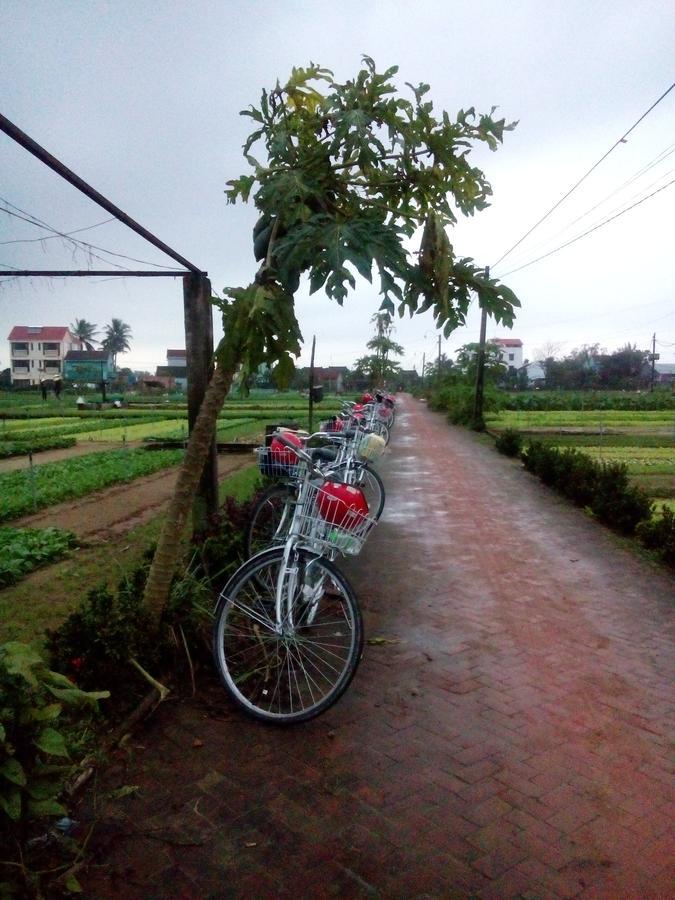 An Bang Beach Town Homestay Hội An Kültér fotó